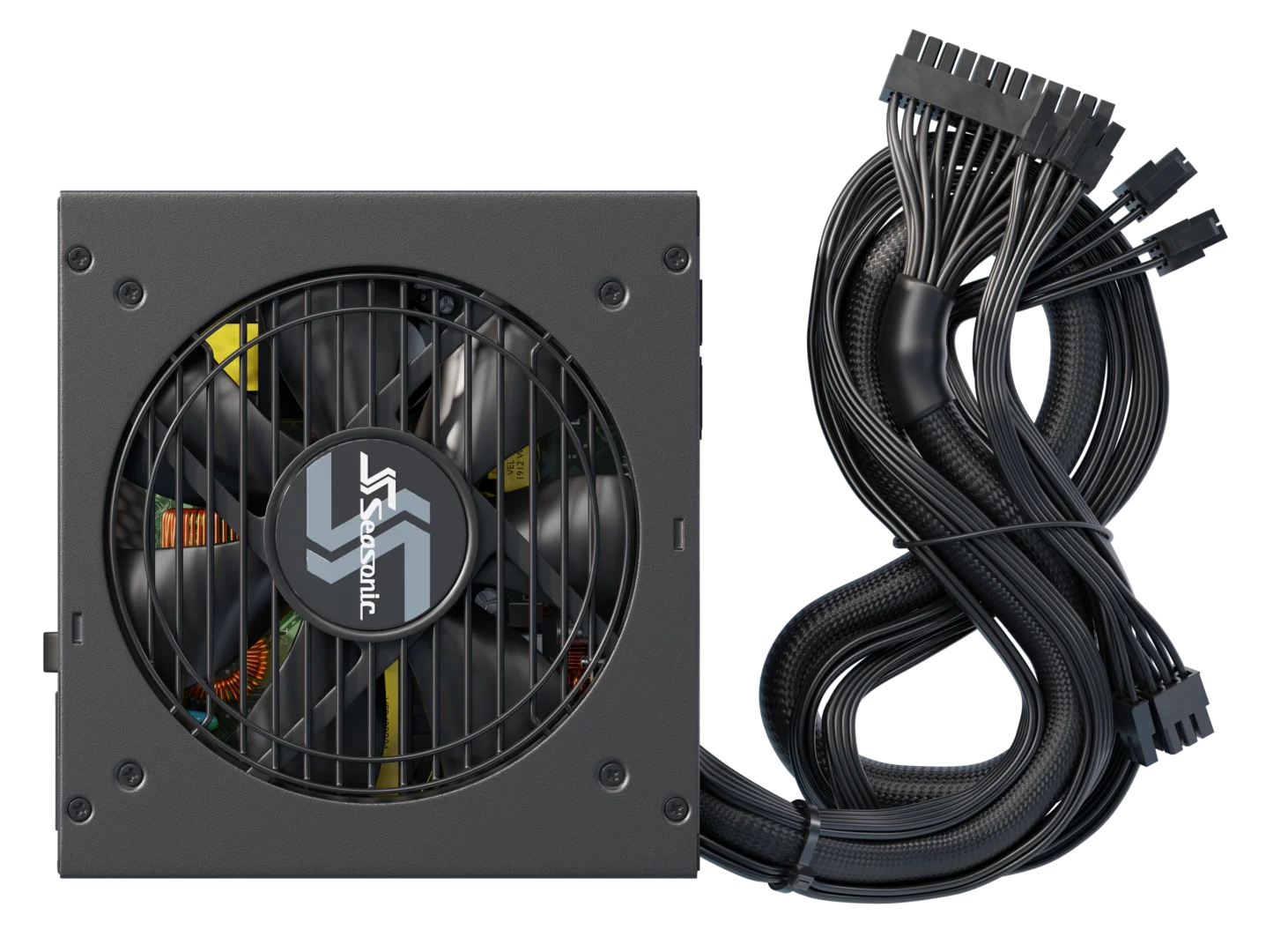 FOCUS GM - 650 gallery image 5