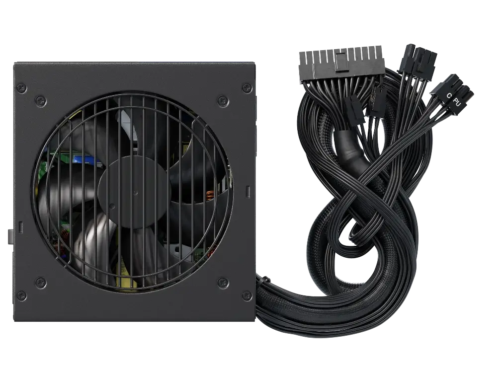 G12 GM (2024) - 650 gallery image 12