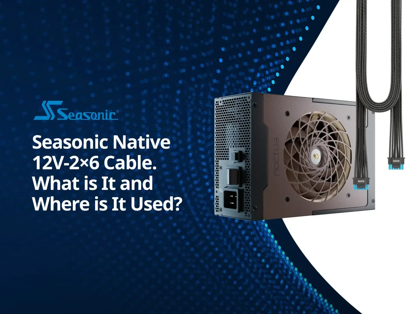 Seasonic 12V-2×6 cable